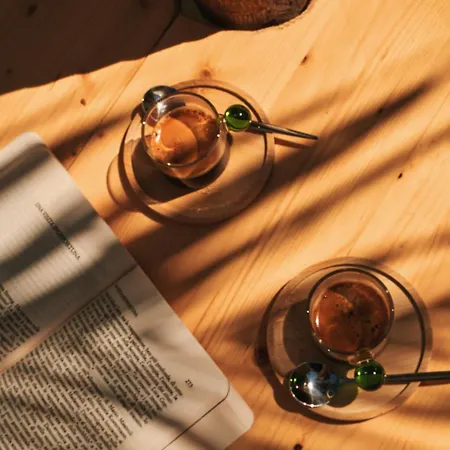 Osa - Stella - Garden With Bar